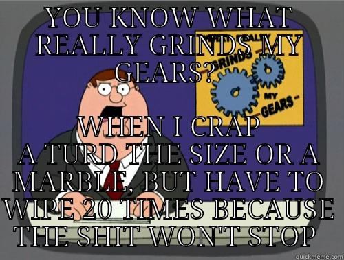 YOU KNOW WHAT REALLY GRINDS MY GEARS?  WHEN I CRAP A TURD THE SIZE OR A MARBLE, BUT HAVE TO WIPE 20 TIMES BECAUSE THE SHIT WON'T STOP  Grinds my gears