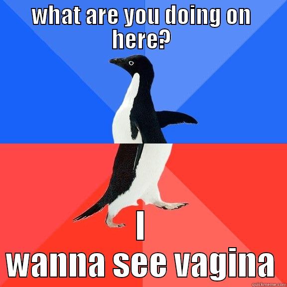 WHAT ARE YOU DOING ON HERE? I WANNA SEE VAGINA Socially Awkward Awesome Penguin