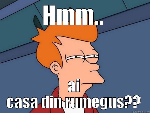 HMM.. AI CASA DIN RUMEGUS?? Futurama Fry