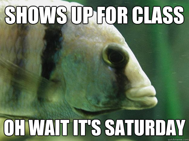 shows up for class oh wait it's saturday  Premed Fish