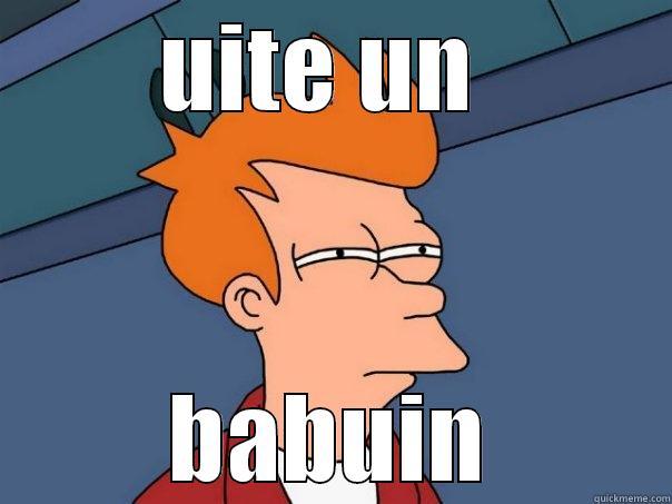 UITE UN  BABUIN Futurama Fry