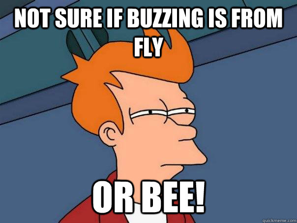 Not sure if buzzing is from fly Or bee! - Not sure if buzzing is from fly Or bee!  Futurama Fry