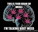 this is your brain on drugs i'm talking bout weed - this is your brain on drugs i'm talking bout weed  Brain on drugs