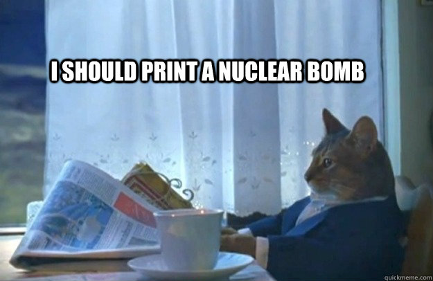 i should print a nuclear bomb  Sophisticated Cat