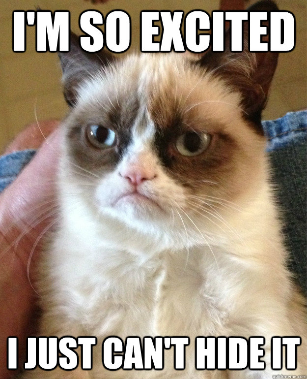 i'm so excited i just can't hide it - i'm so excited i just can't hide it  Grumpy Cat