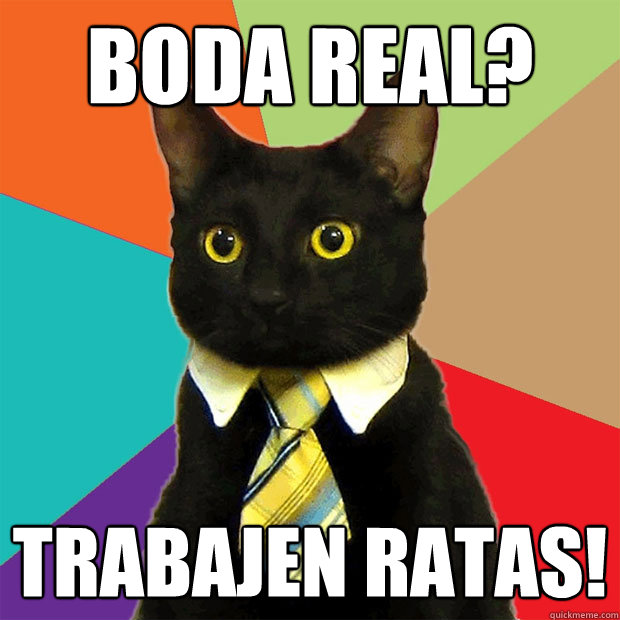 boda real? trabajen ratas!  Business Cat