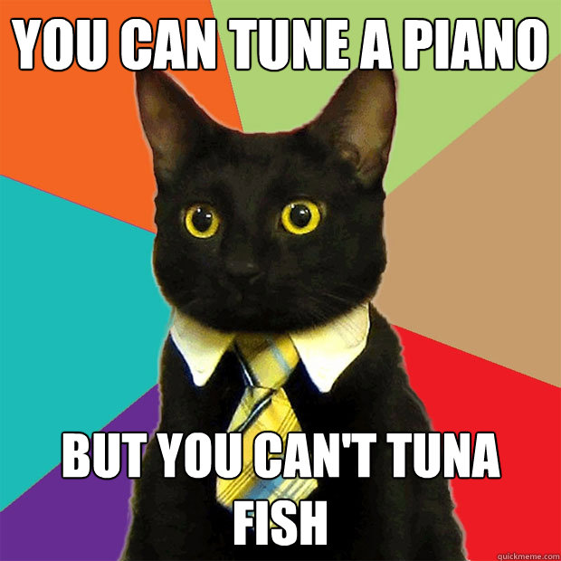 YOU CAN TUNE A PIANO BUT YOU CAN'T TUNA FISH - YOU CAN TUNE A PIANO BUT YOU CAN'T TUNA FISH  Business Cat