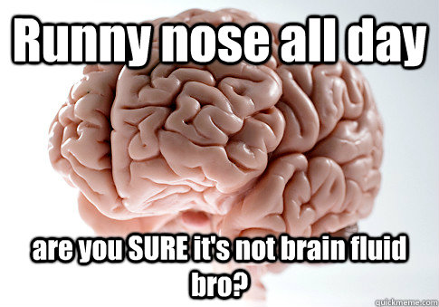 Runny nose all day are you SURE it's not brain fluid bro?  Scumbag Brain