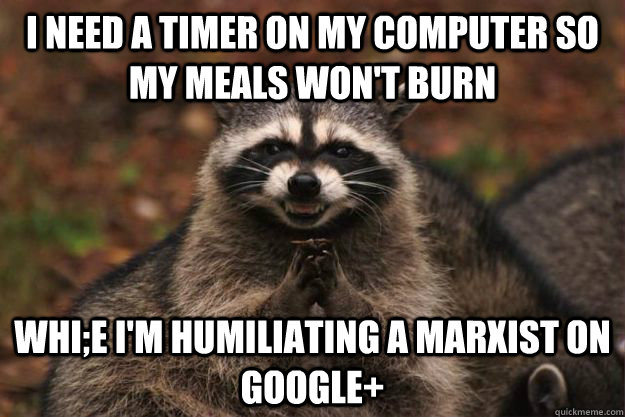 I need a timer on my computer so my meals won't burn whi;e I'm humiliating a marxist on Google+  Evil Plotting Raccoon