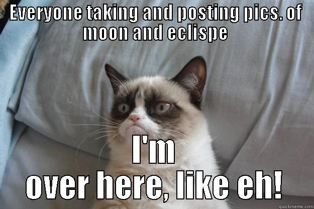 EVERYONE TAKING AND POSTING PICS. OF MOON AND ECLISPE I'M OVER HERE, LIKE EH! Grumpy Cat