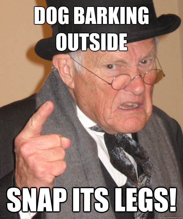 DOG barking 
outside snap its legs!  