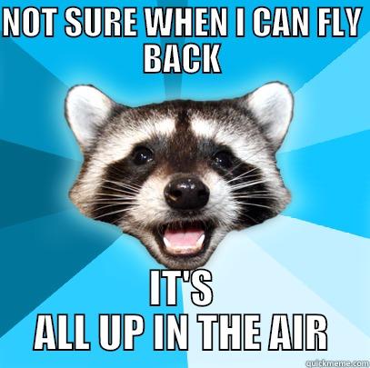 NOT SURE WHEN I CAN FLY BACK IT'S ALL UP IN THE AIR Lame Pun Coon