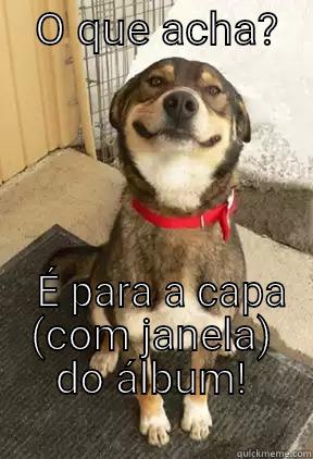    O QUE ACHA?      É PARA A CAPA (COM JANELA) DO ÁLBUM!                   Good Dog Greg