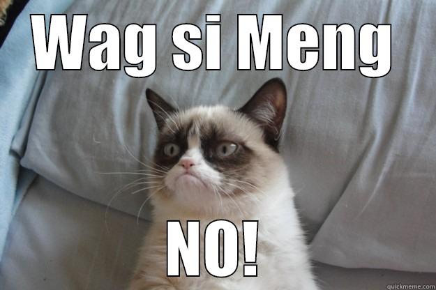 WAG SI MENG NO! Grumpy Cat