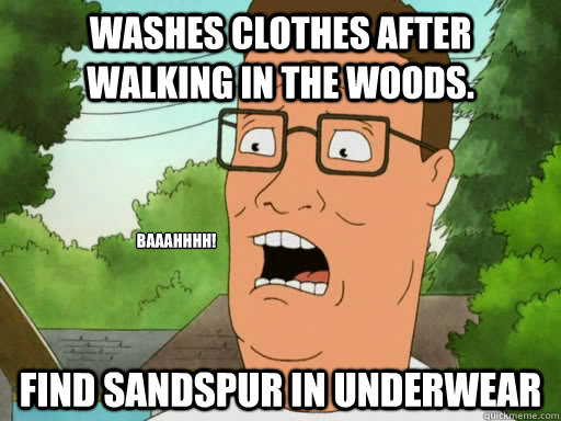 Washes clothes after walking in the woods. Find sandspur in underwear baaahhhh!  Upset Hank Hill