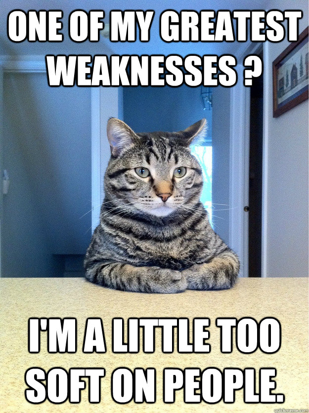 ONE OF MY GREATEST WEAKNESSES ? I'M A LITTLE TOO SOFT ON PEOPLE.  Chris Hansen Cat