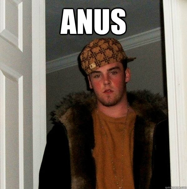 ANUS   Scumbag Steve