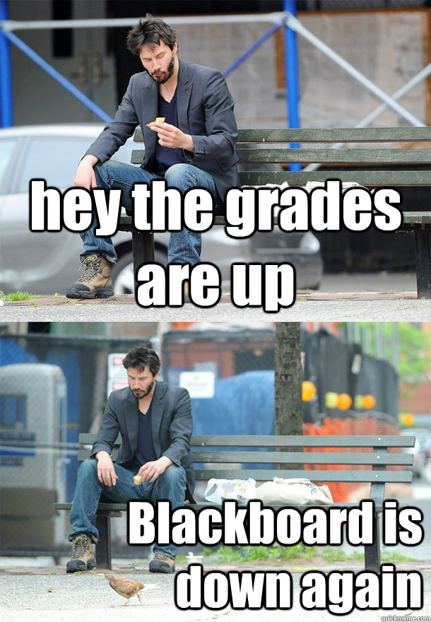 hey the grades are up Blackboard is down again - hey the grades are up Blackboard is down again  Sad Keanu