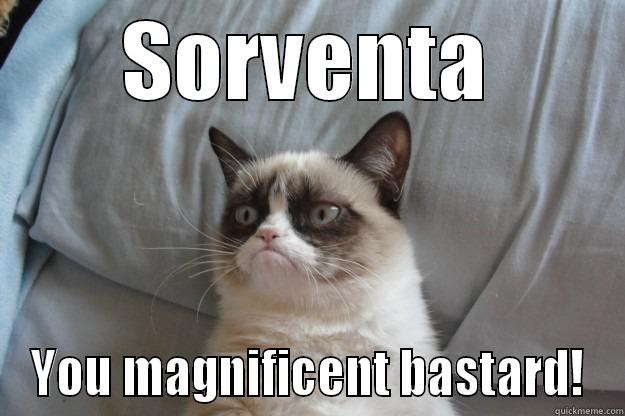 SORVENTA YOU MAGNIFICENT BASTARD! Grumpy Cat