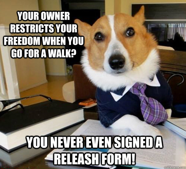 Your owner restricts your freedom when you go for a walk? You never even signed a releash form!  Lawyer Dog