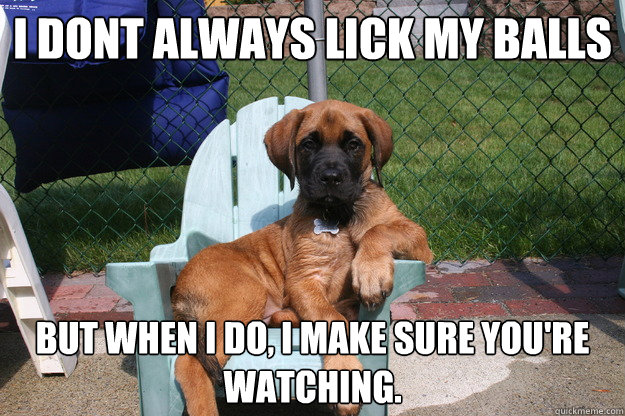 i dont always lick my balls but when i do, i make sure you're watching.  The Most Interesting Dog in the World