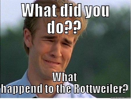  WHAT DID YOU DO?? WHAT HAPPEND TO THE ROTTWEILER? 1990s Problems