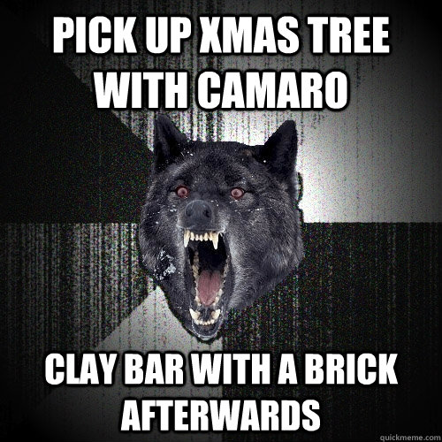 pick up xmas tree with camaro clay bar with a brick afterwards  Insanity Wolf