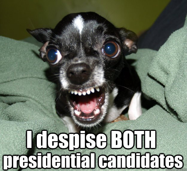  I despise BOTH presidential candidates  