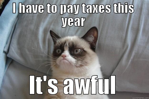 Taxes Make Me Sad - I HAVE TO PAY TAXES THIS YEAR IT'S AWFUL Grumpy Cat