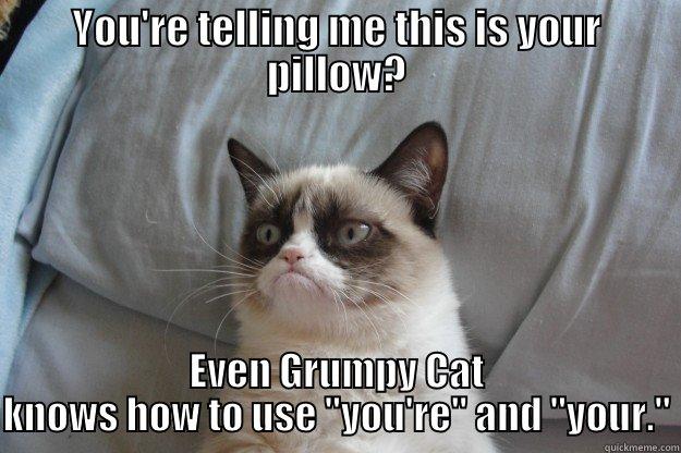 YOU'RE TELLING ME THIS IS YOUR PILLOW? EVEN GRUMPY CAT KNOWS HOW TO USE 