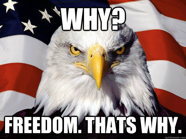 Why? Freedom. Thats why.  Evil American Eagle