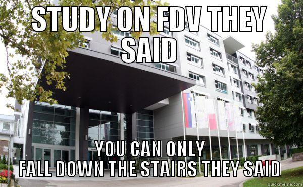 STUDY ON FDV THEY SAID YOU CAN ONLY FALL DOWN THE STAIRS THEY SAID Misc