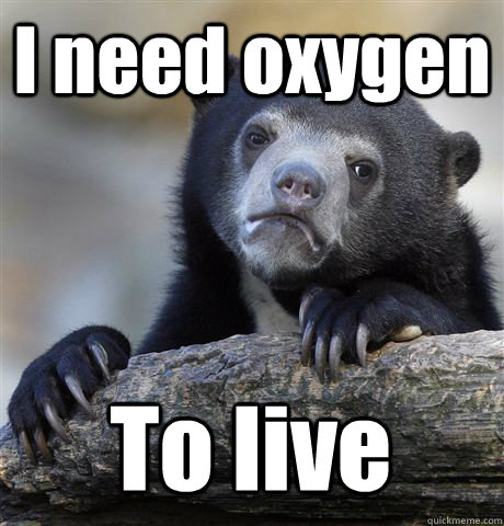 I need oxygen To live - I need oxygen To live  Confession Bear