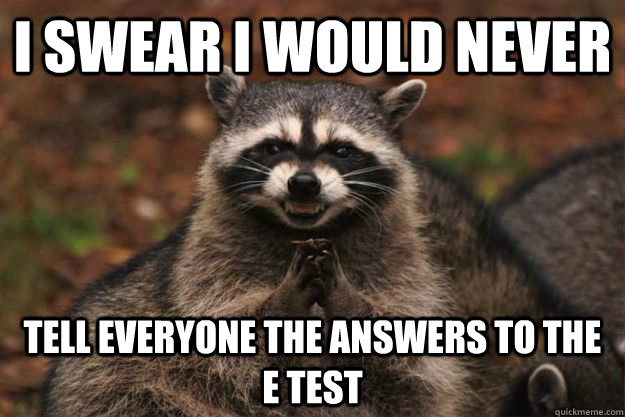 I swear I would never Tell everyone the answers to the E Test  Evil Plotting Raccoon