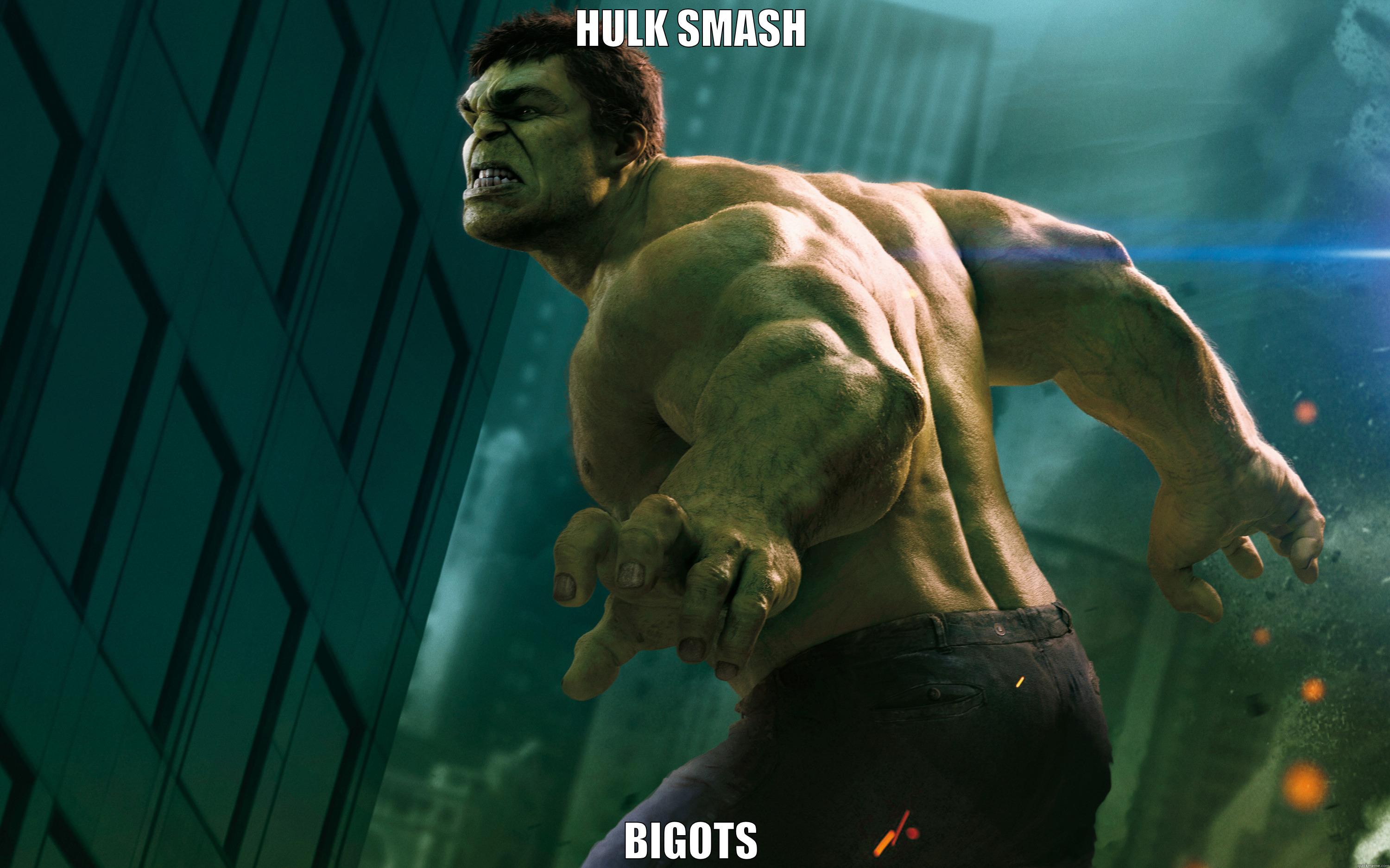 You won't like him when he's angry - HULK SMASH BIGOTS Misc