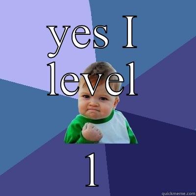 YES I LEVEL 1 Success Kid