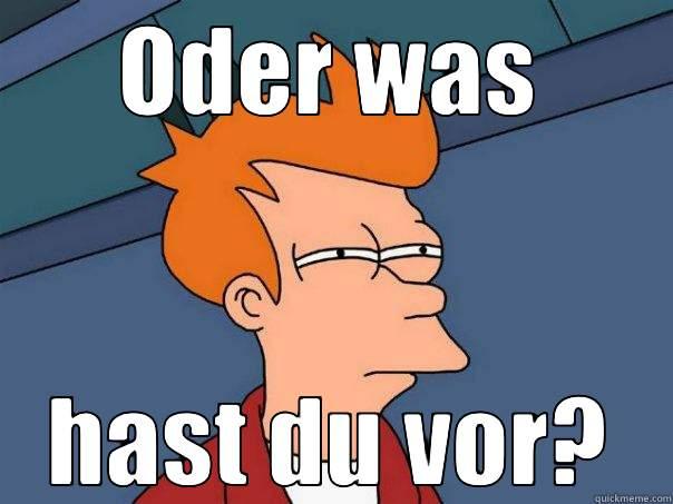 ODER WAS HAST DU VOR? Futurama Fry