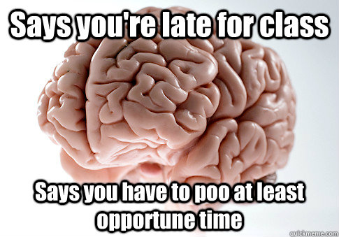 Says you're late for class Says you have to poo at least opportune time   Scumbag Brain