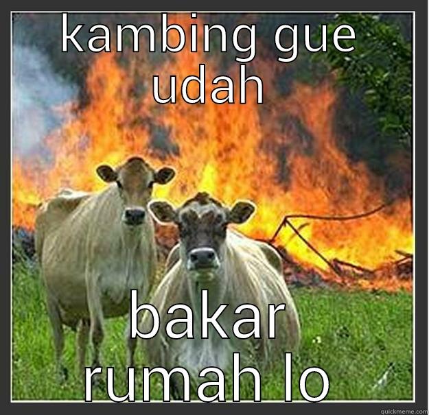 KAMBING GUE UDAH BAKAR RUMAH LO Evil cows