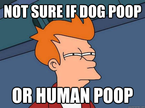 Not sure if dog poop or human poop - Not sure if dog poop or human poop  Futurama Fry