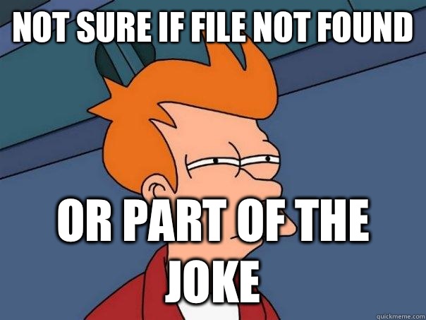 Not sure if file not found Or part of the joke  Futurama Fry