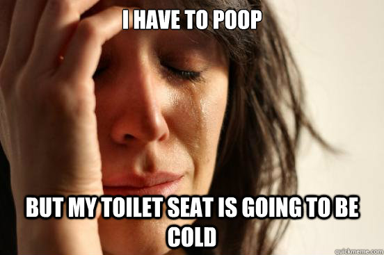 I have to poop but my toilet seat is going to be cold  First World Problems