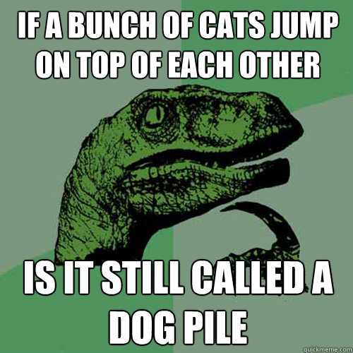 If a bunch of cats jump on top of each other is it still called a dog pile - If a bunch of cats jump on top of each other is it still called a dog pile  Philosoraptor