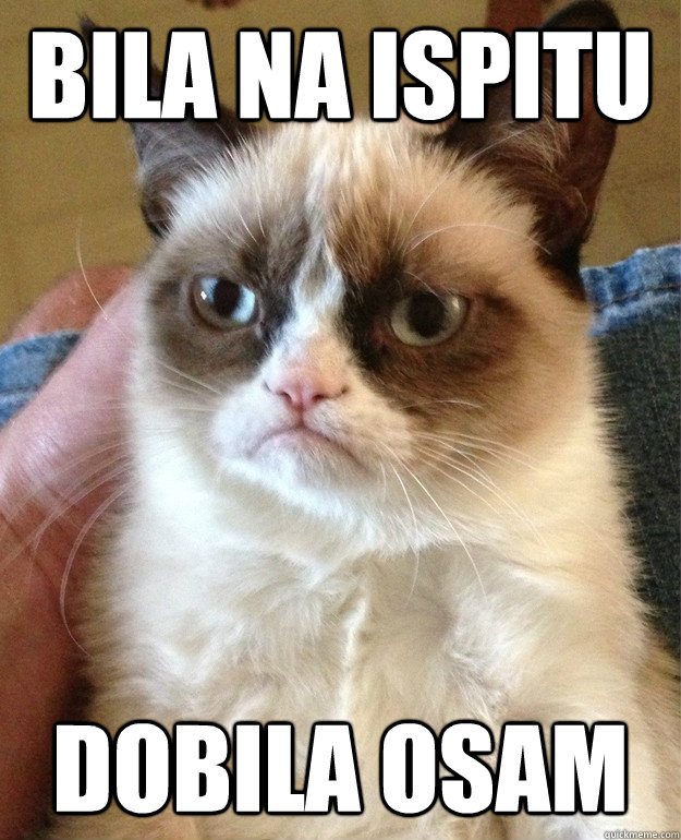 Bila na ispitu Dobila osam  Grumpy Cat