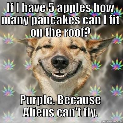 Stoner Dog - IF I HAVE 5 APPLES HOW MANY PANCAKES CAN I FIT ON THE ROOF? PURPLE. BECAUSE ALIENS CAN'T FLY. Stoner Dog