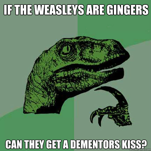 if the weasleys are gingers  can they get a dementors kiss? - if the weasleys are gingers  can they get a dementors kiss?  Philosoraptor