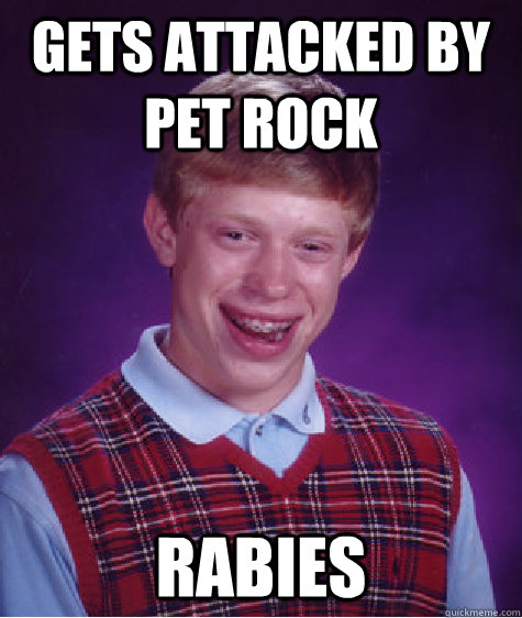 gets attacked by pet rock rabies - gets attacked by pet rock rabies  Bad Luck Brian