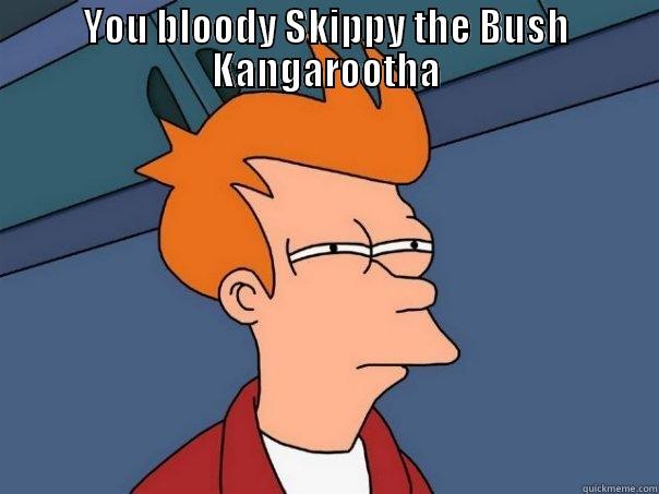 YOU BLOODY SKIPPY THE BUSH KANGAROOTHA  Futurama Fry