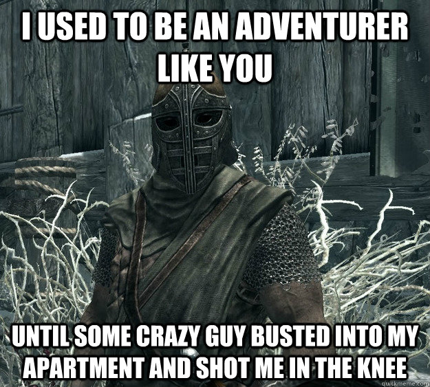 I used to be an adventurer like you Until some crazy guy busted into my apartment and shot me in the knee  Skyrim Guard