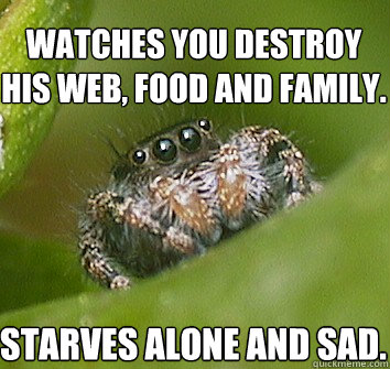 Watches you destroy his web, food and family. Starves alone and sad.  Misunderstood Spider